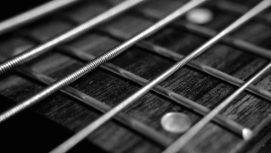 Image of Roomful of Blues
